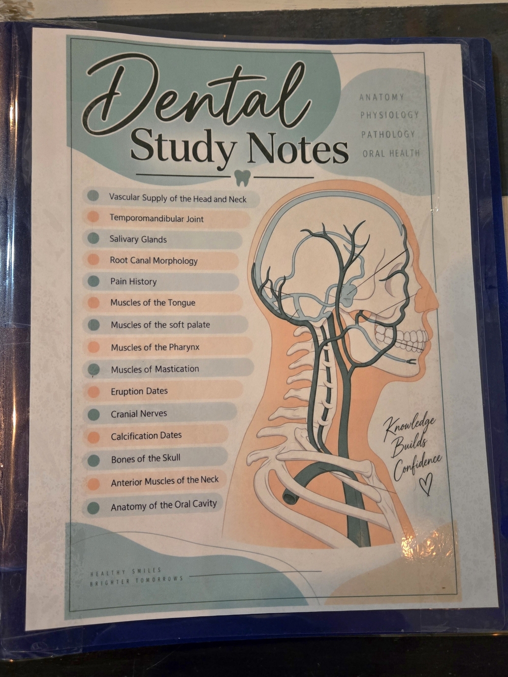 Dental Study Notes Binder – Laminated Dental Hygiene Anatomy Physiology Study